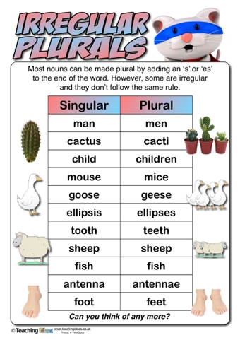 Spelling Rules & 44 Phonemes | Mrs. Judy Araujo, Reading Specialist