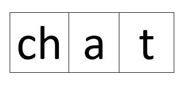 Orthographic Mapping