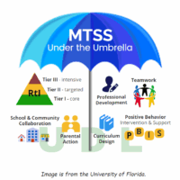 MTSS and UDL Learning Reflection