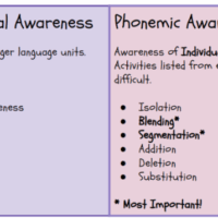 What is Phonemic Awareness