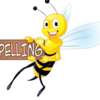 Spelling Rules and Generalizations PDF